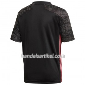 Real Madrid Ausweich Trikotsatz 2020/21